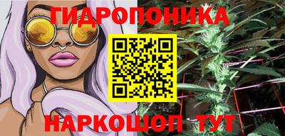 синтетический гашиш Камышлов