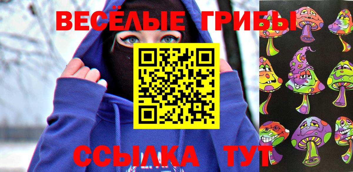 Псилоцибиновые грибы Magic Shrooms  купить   Дятьково  Вход с VPN  Псилоцибиновые грибы мицелий 